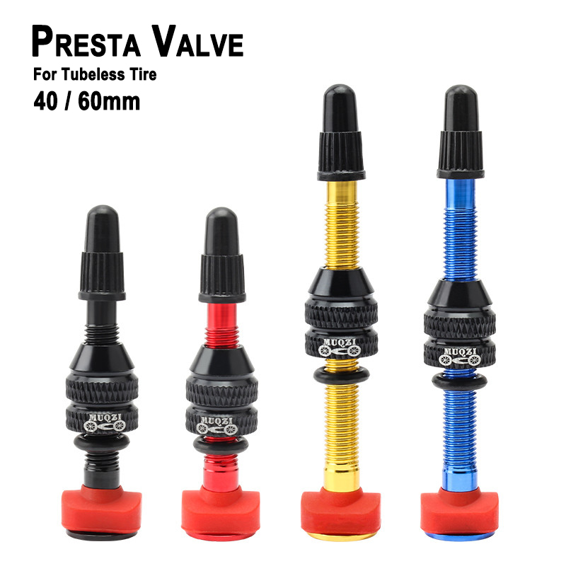 MTB Mountain Bike Presta Valve - огляд і ціна Mountain Biking In French
