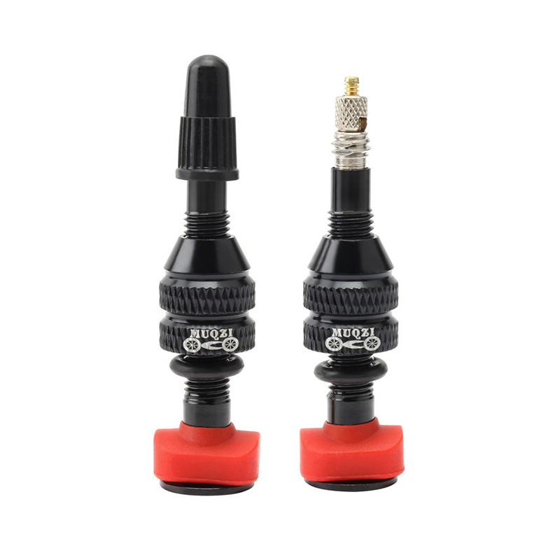 MTB Mountain Bike Presta Valve - огляд і ціна Mountain Biking In French