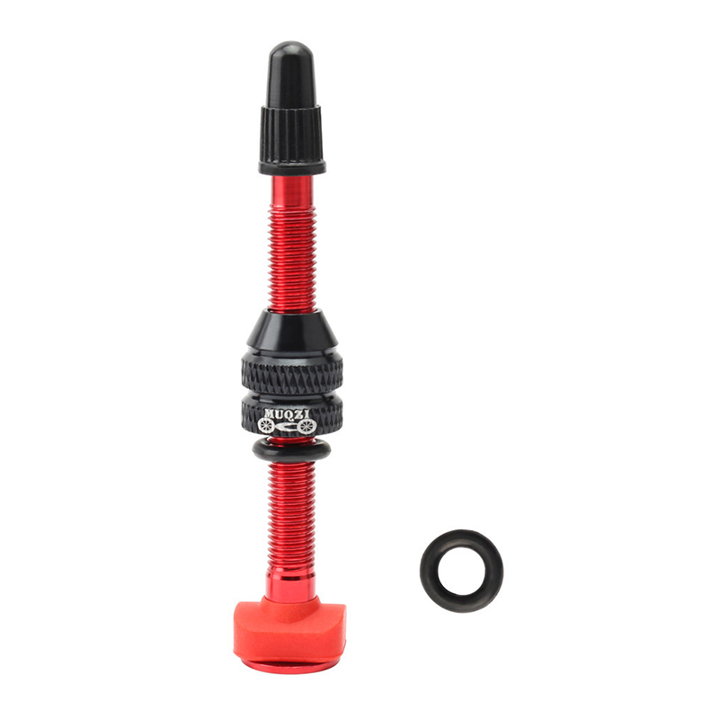 MTB Mountain Bike Presta Valve - огляд і ціна Mountain Biking In French