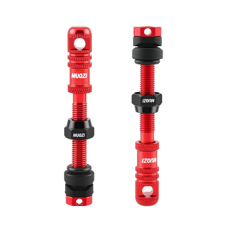 Alloy Bike Tubeless Presta Val - огляд і ціна Mountain Biking In French